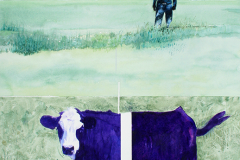 7-Border-Cow
