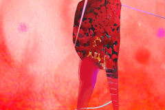 Disconnect-Human-Fire-Red-II