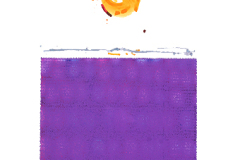 DNA-Sequence-Purple-Maize-Orange-SunSM