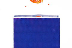DNA_Sequence_Blue_Maize