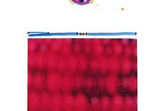 DNA_Sequence_Red_Maize