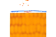 DNA_Sequence_Yellow_Maize