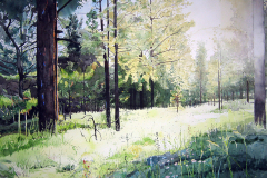 Greer-Morning