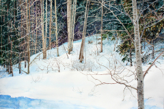 22-Mt.-Lemmon-Snow