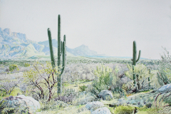 Pusche-Ridge-Summer