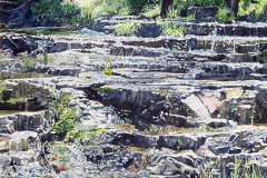 Rose-Creek-Steps