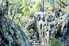 Spring-in-Turkey-Creek
