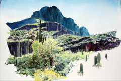 Afternoon-at-Safford-Peak