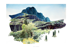 Afternoon-at-Safford-Peak