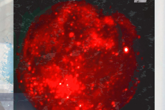 Red-Hot-Planet-IV