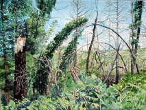 After-the-Fire