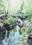 Afternoon-at-Rose-Canyon