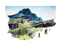 Afternoon-at-Safford-Peak-scaled