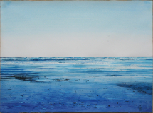 Blue-Gulf-Puerto-Penasco