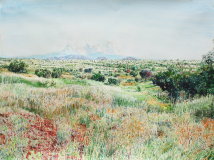 Empire-Ranch-Summer
