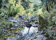 Gardner-Canyon-Reflection