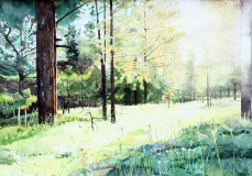 Greer-Morning