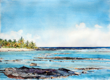 Hawaii-Noon