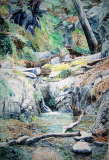 Madera-Canyon-II