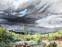 Monsoon-at-Sanctuary-Cove