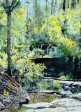 Morning-Creek