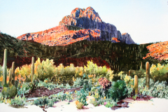 Morning-at-Safford-Peak
