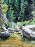 Mt.-Lemmon-Pond