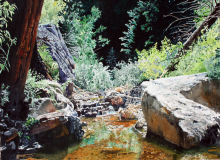 Mt.-Lemmon-Rock