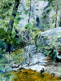 Mt.-Lemmon-Walk