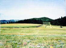 Northern-Arizona-Meadow