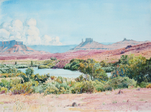 Northern-Arizona