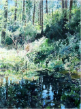 Pond-on-Workman-Creek