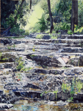 Rose-Creek-Steps