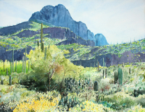 Safford-Peak-II