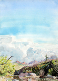 Spring-Rain