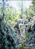 Spring-in-Turkey-Creek