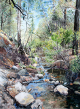 Turkey-Creek-Reflections