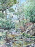 Turkey-Creek-V