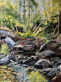 Workman-Creek-After-the-Fire-II