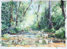 Workman-Creek-Step-Falls