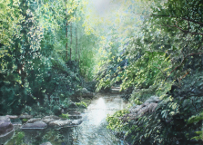 Workman-Creek-Still-Waters