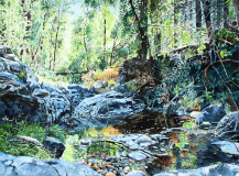 Workman-Creek-with-Orange