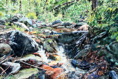 Babbling-in-Workman-Creek