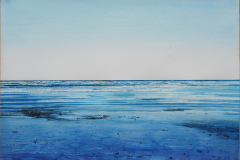 Blue-Gulf-Puerto-Penasco