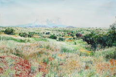Empire-Ranch-Summer
