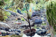 Gardner-Canyon-Creek-Tree