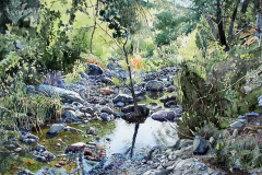 Gardner-Canyon-Reflection