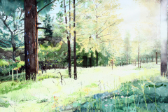 Greer-Morning