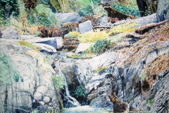 Madera-Canyon-II