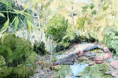 Mirror-On-Gardner-Canyon